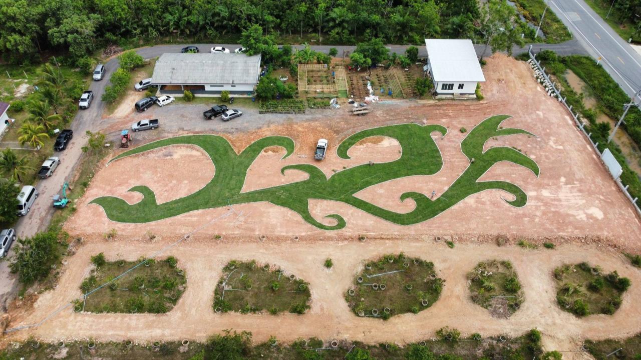 ภาพประกอบที่ 11