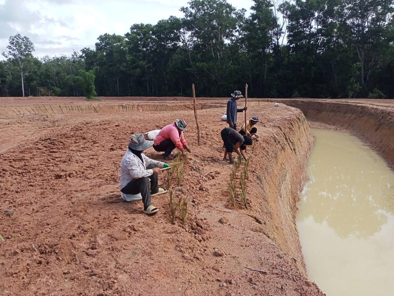 ภาพประกอบที่ 5