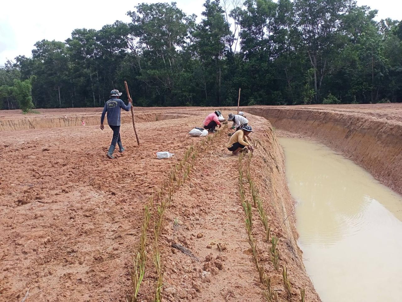 ภาพประกอบที่ 6