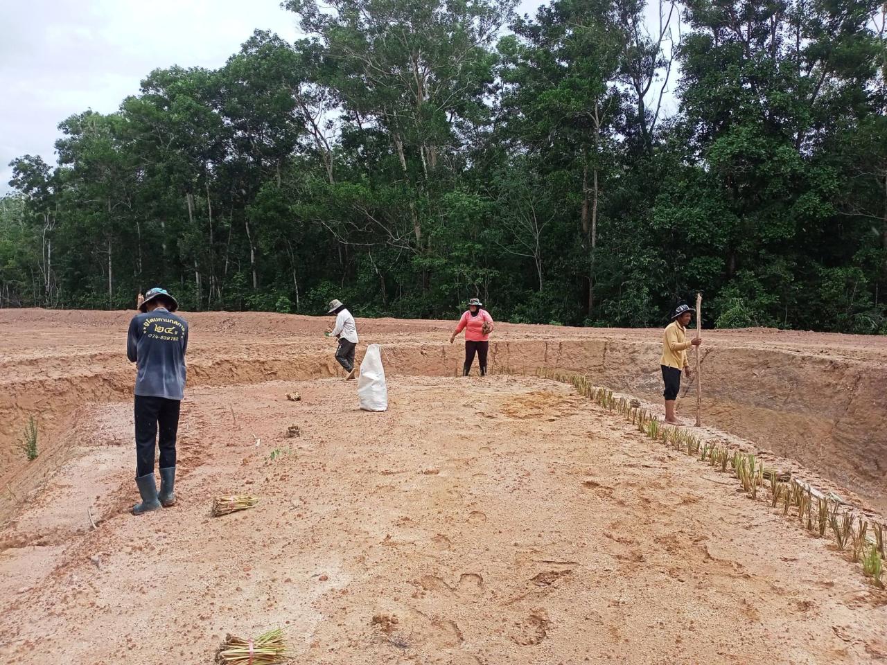 ภาพประกอบที่ 7