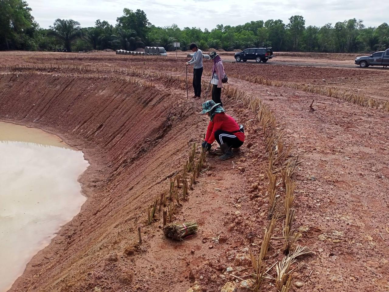 ภาพประกอบที่ 8