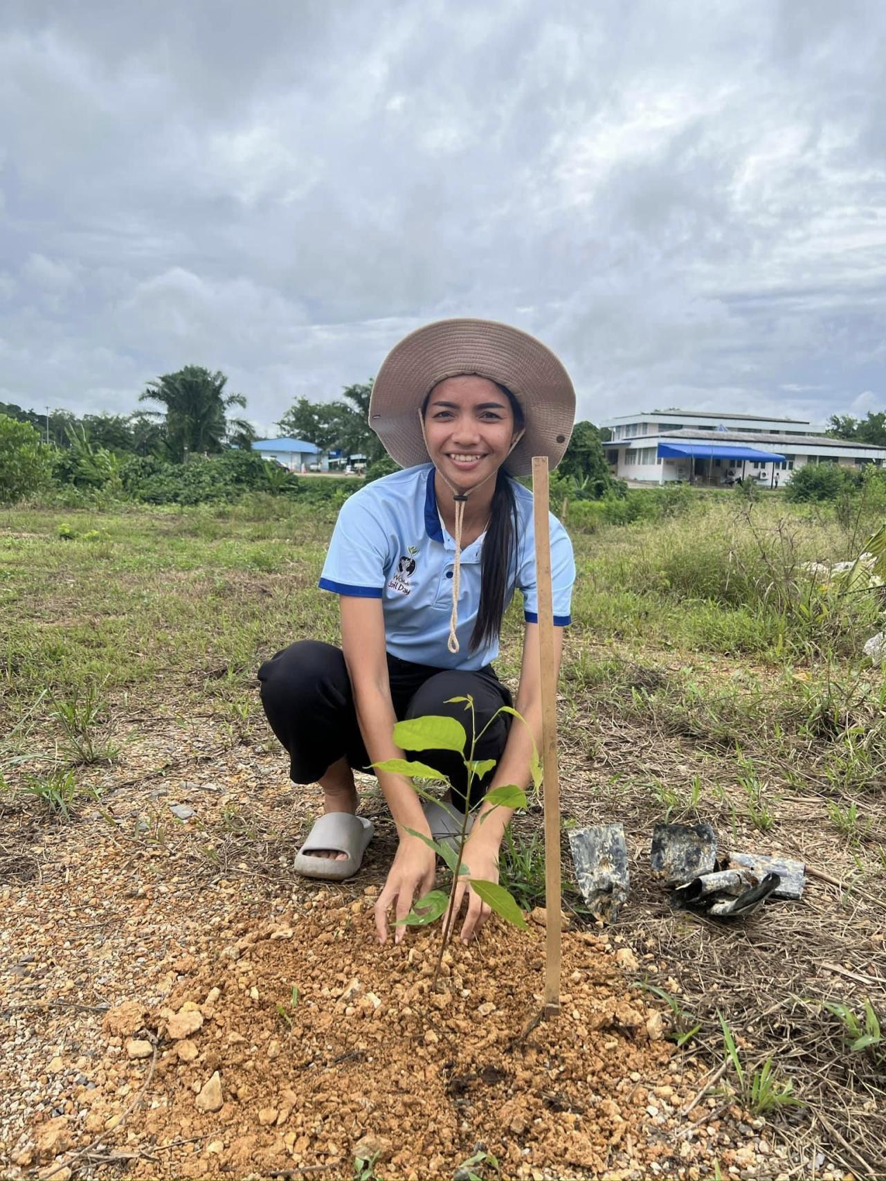 ภาพประกอบที่ 4
