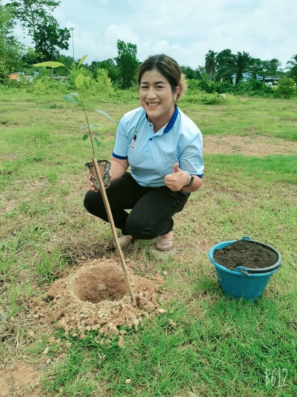 ภาพประกอบที่ 6