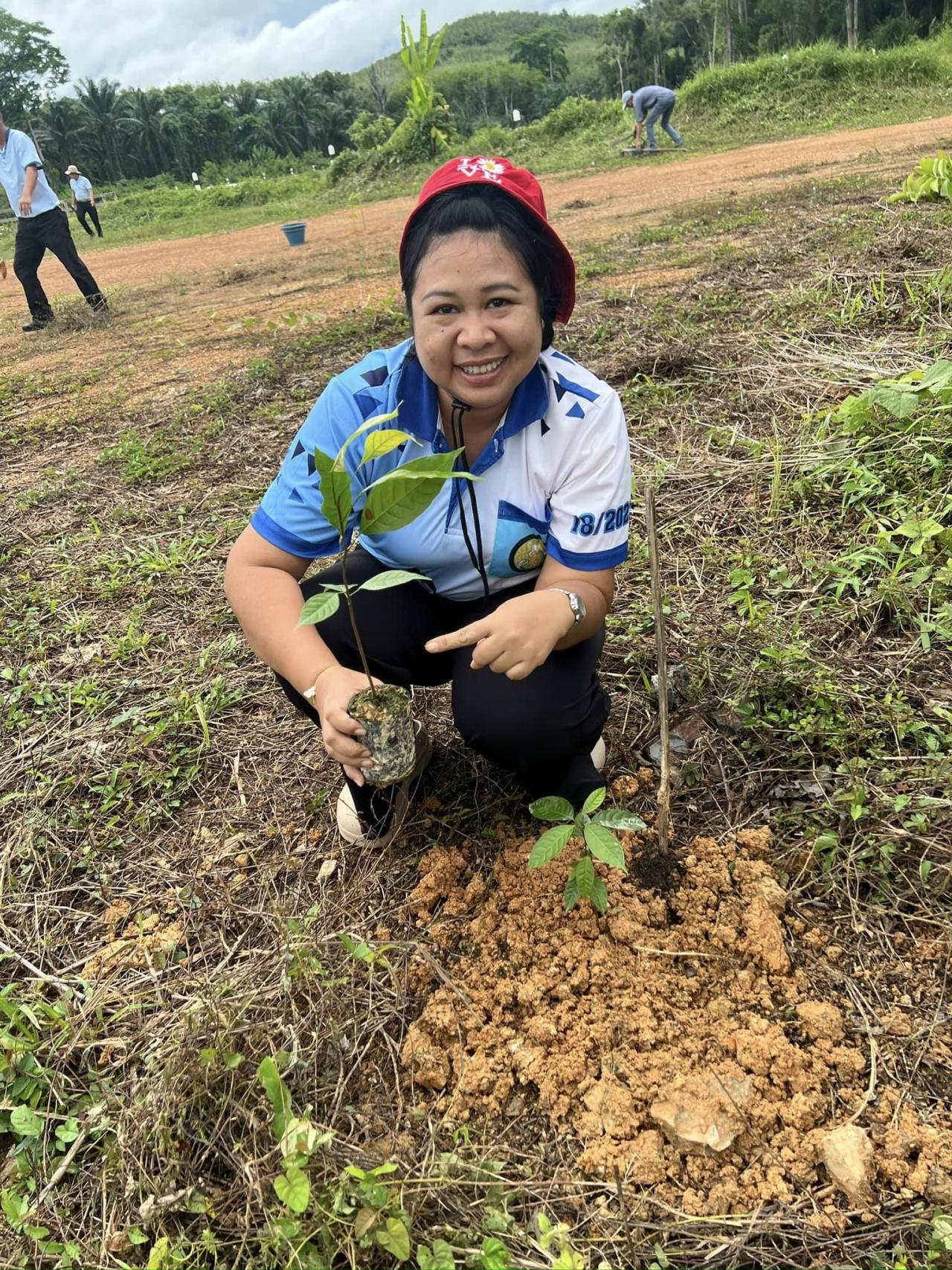 ภาพประกอบที่ 12