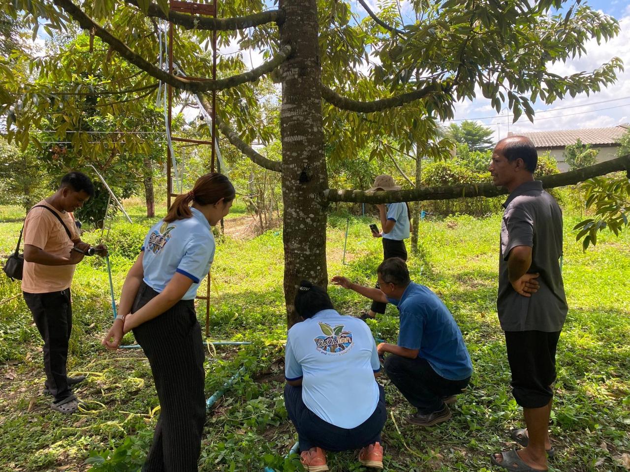 ภาพประกอบที่ 1