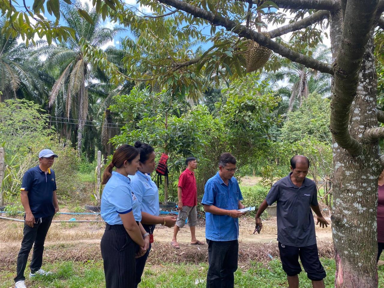 ภาพประกอบที่ 5