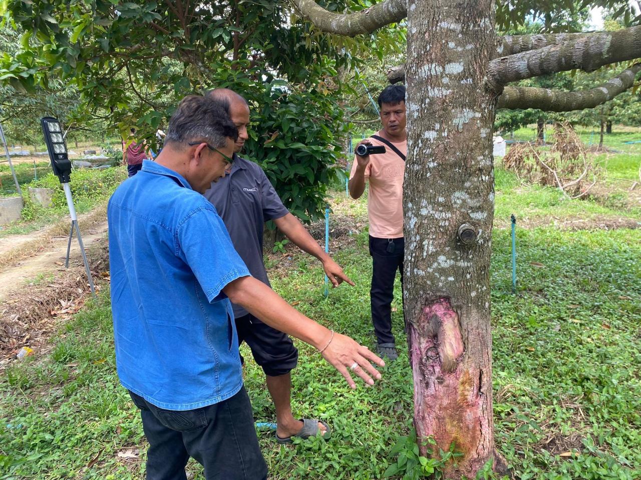 ภาพประกอบที่ 8