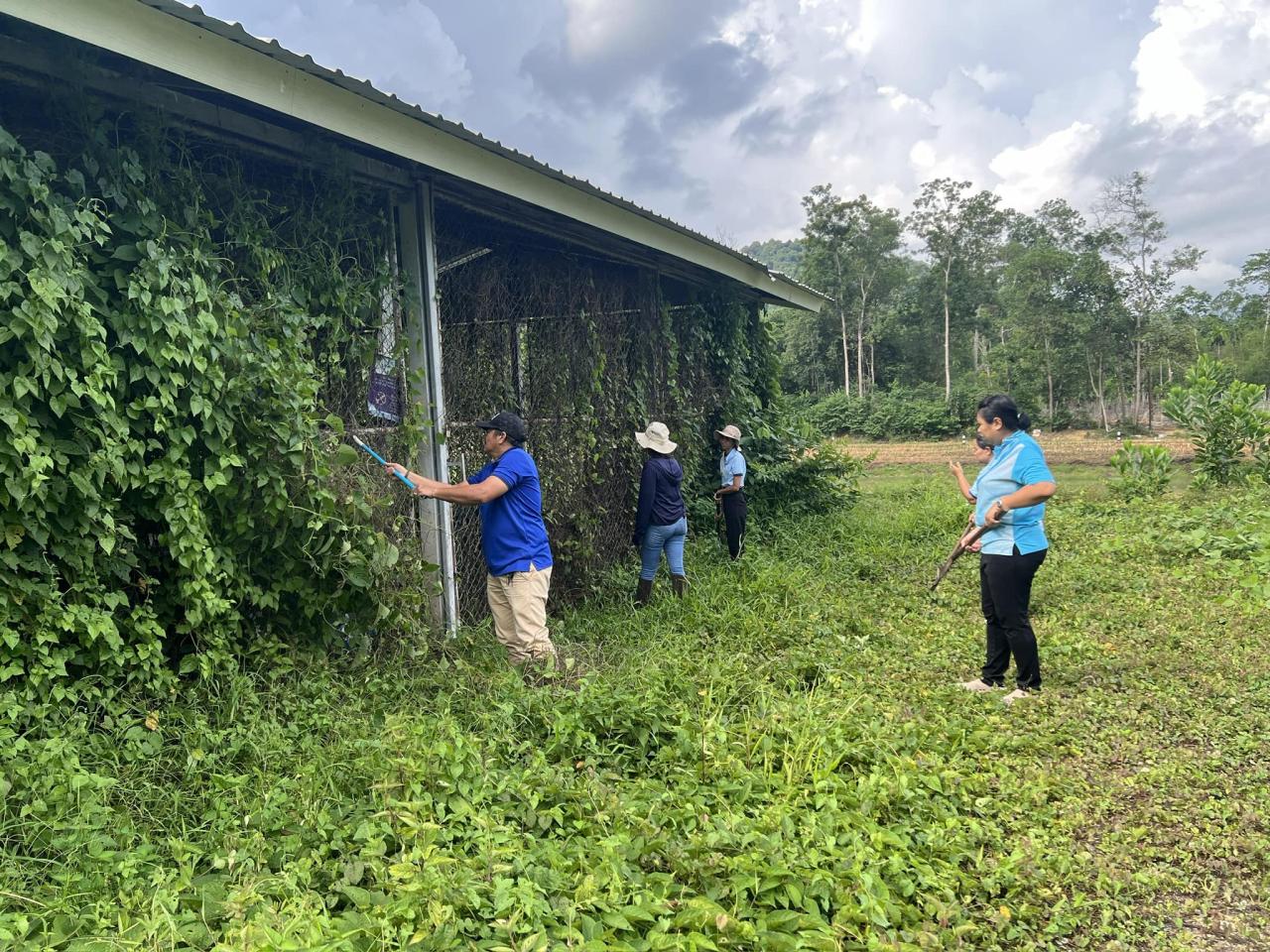 ภาพประกอบที่ 0