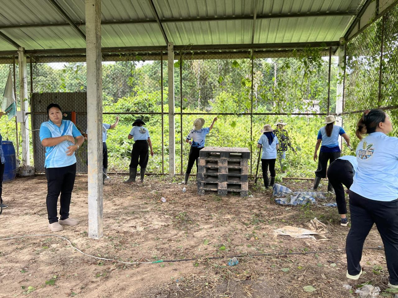 ภาพประกอบที่ 3