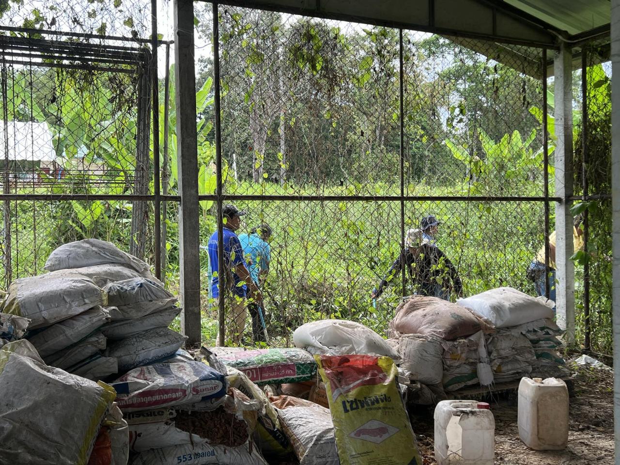 ภาพประกอบที่ 6