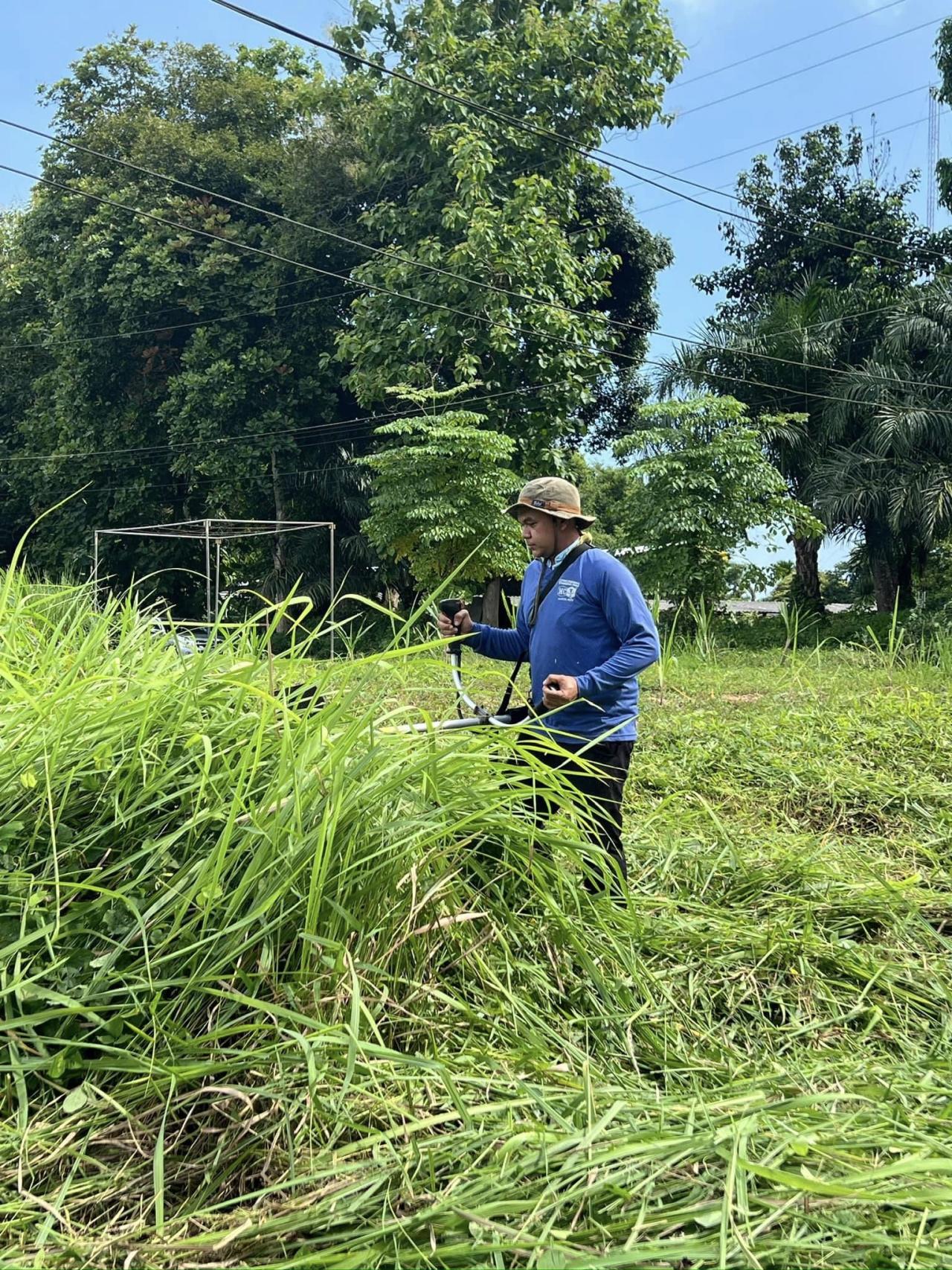ภาพประกอบที่ 7