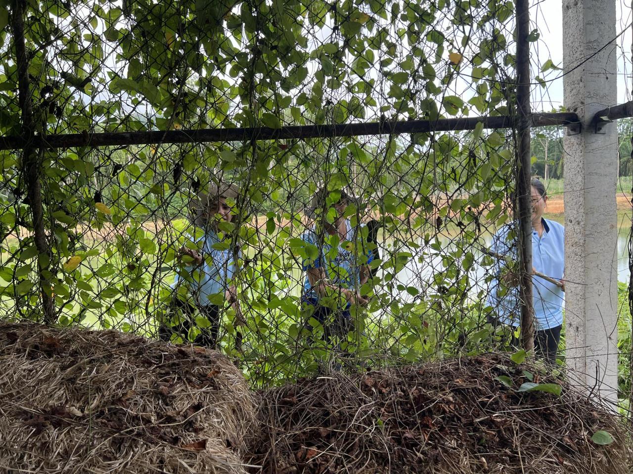 ภาพประกอบที่ 8