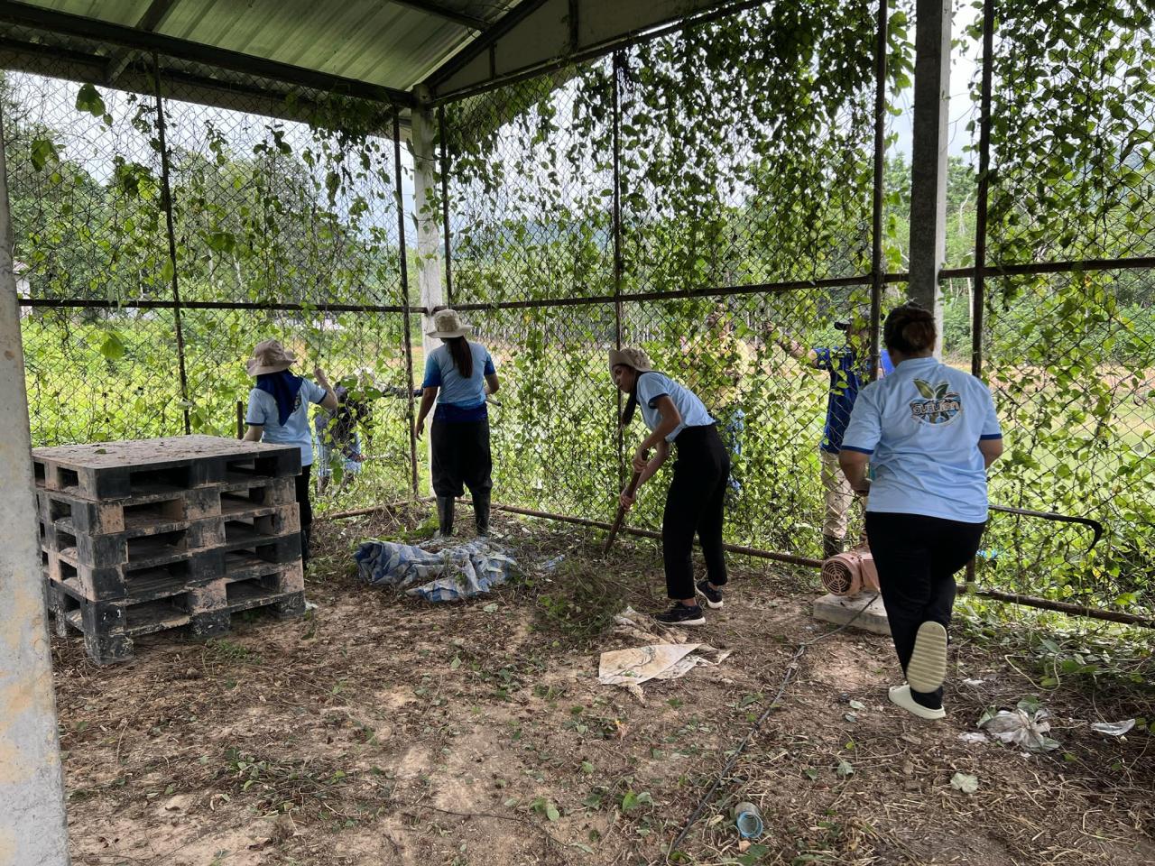 ภาพประกอบที่ 11