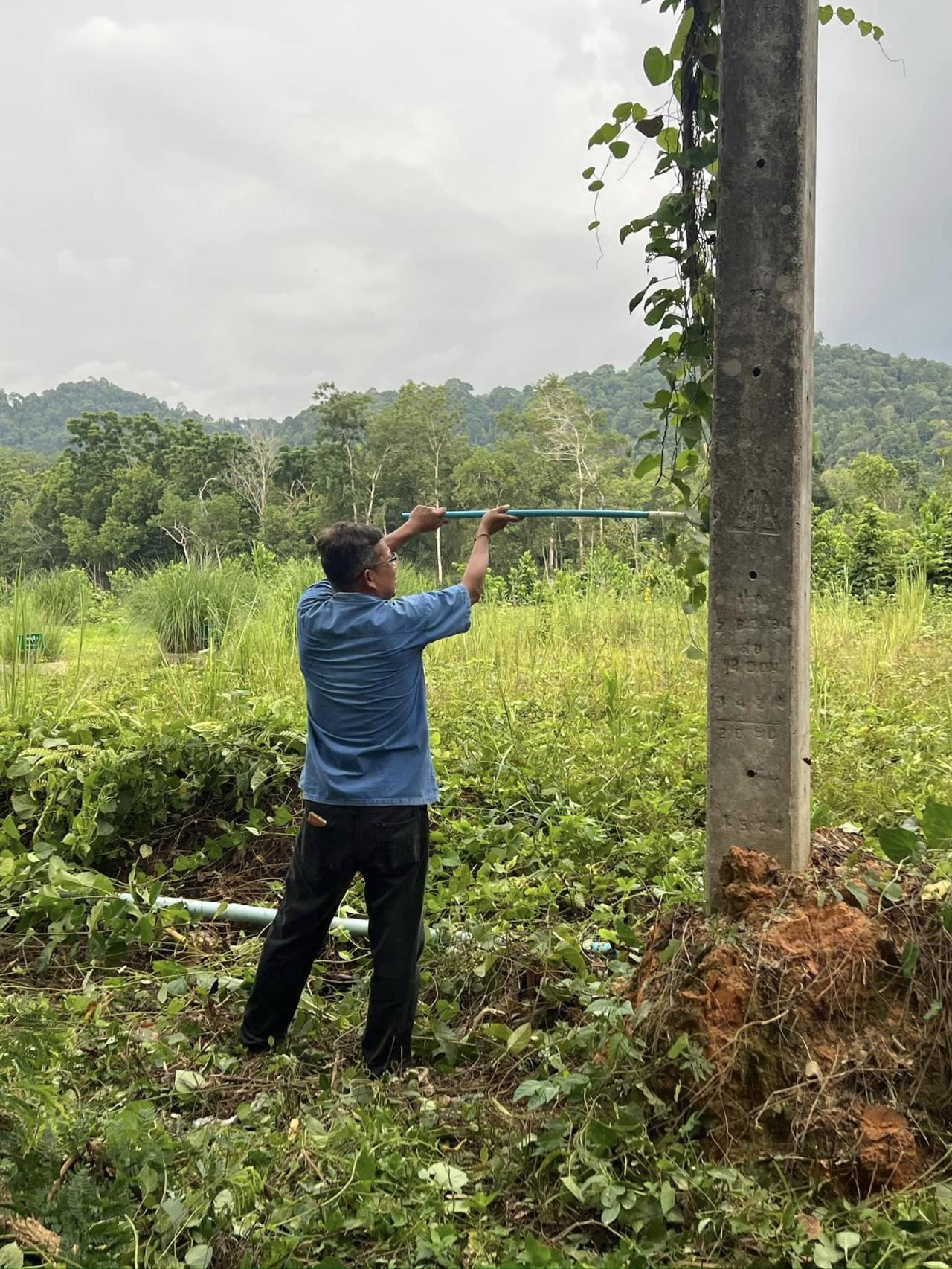 ภาพประกอบที่ 12