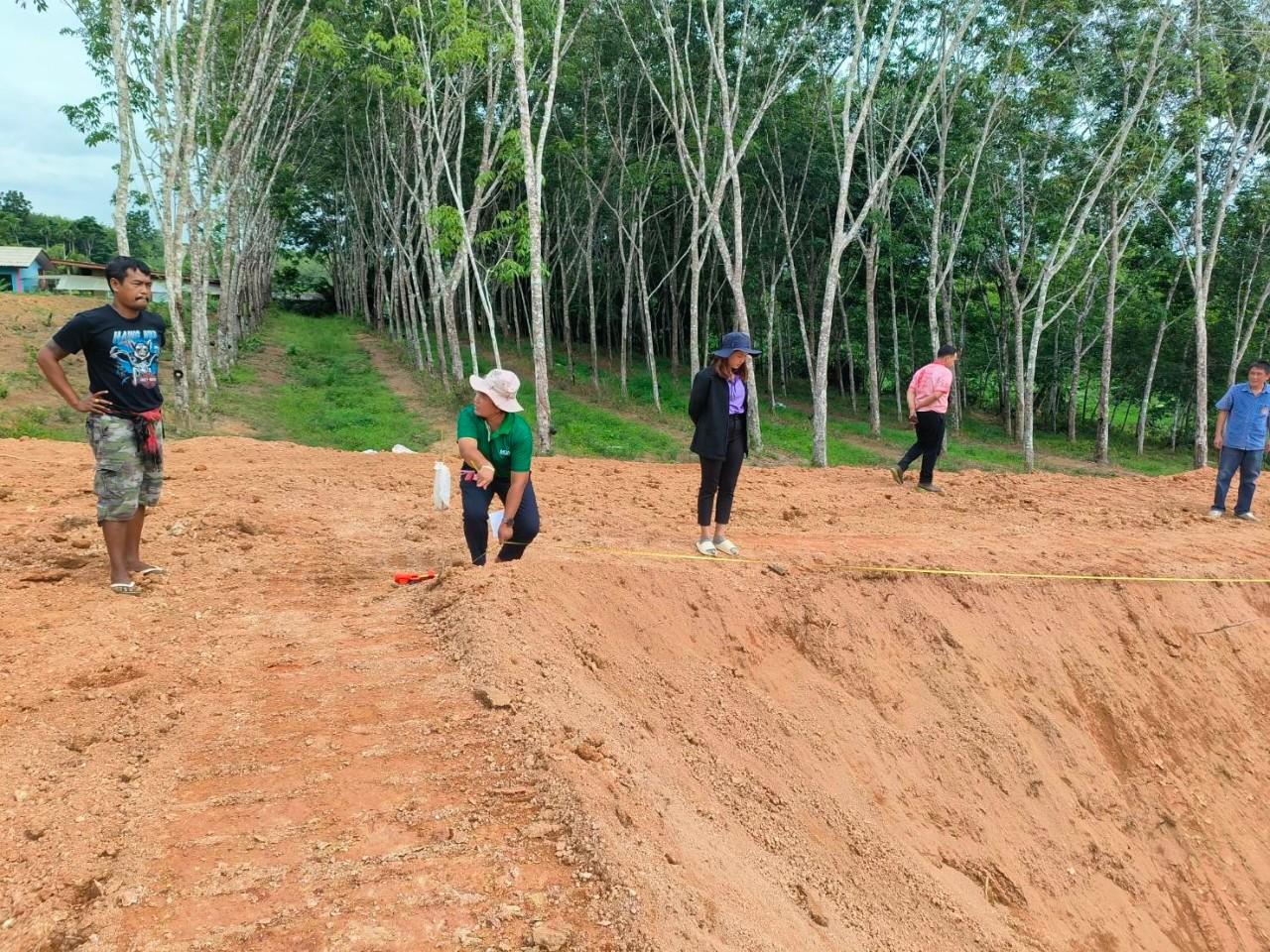 ภาพประกอบที่ 7