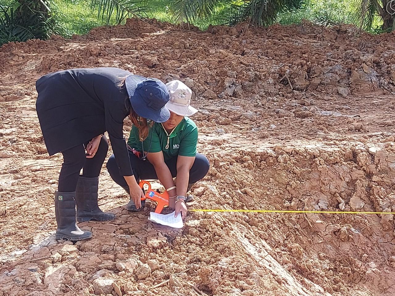 ภาพประกอบที่ 8