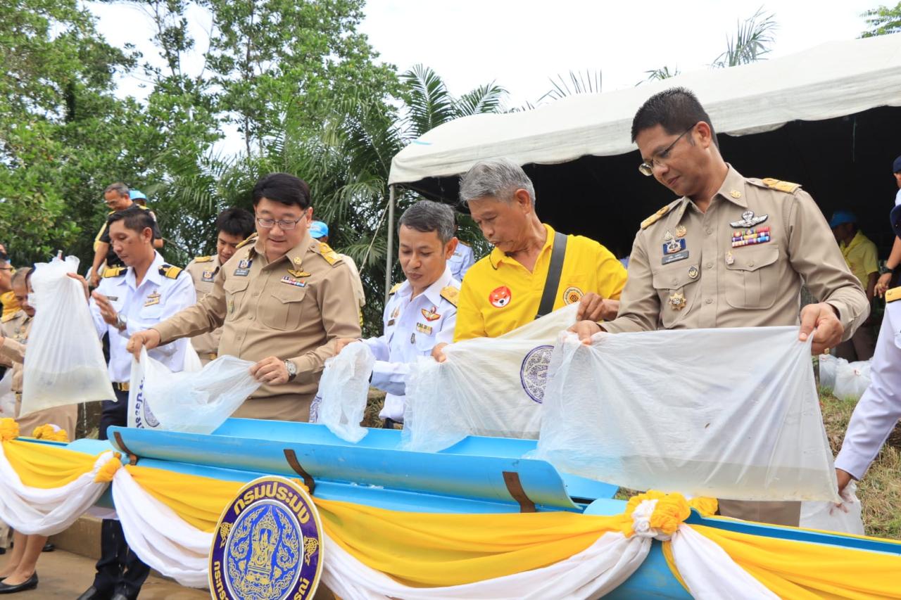 ภาพประกอบที่ 4