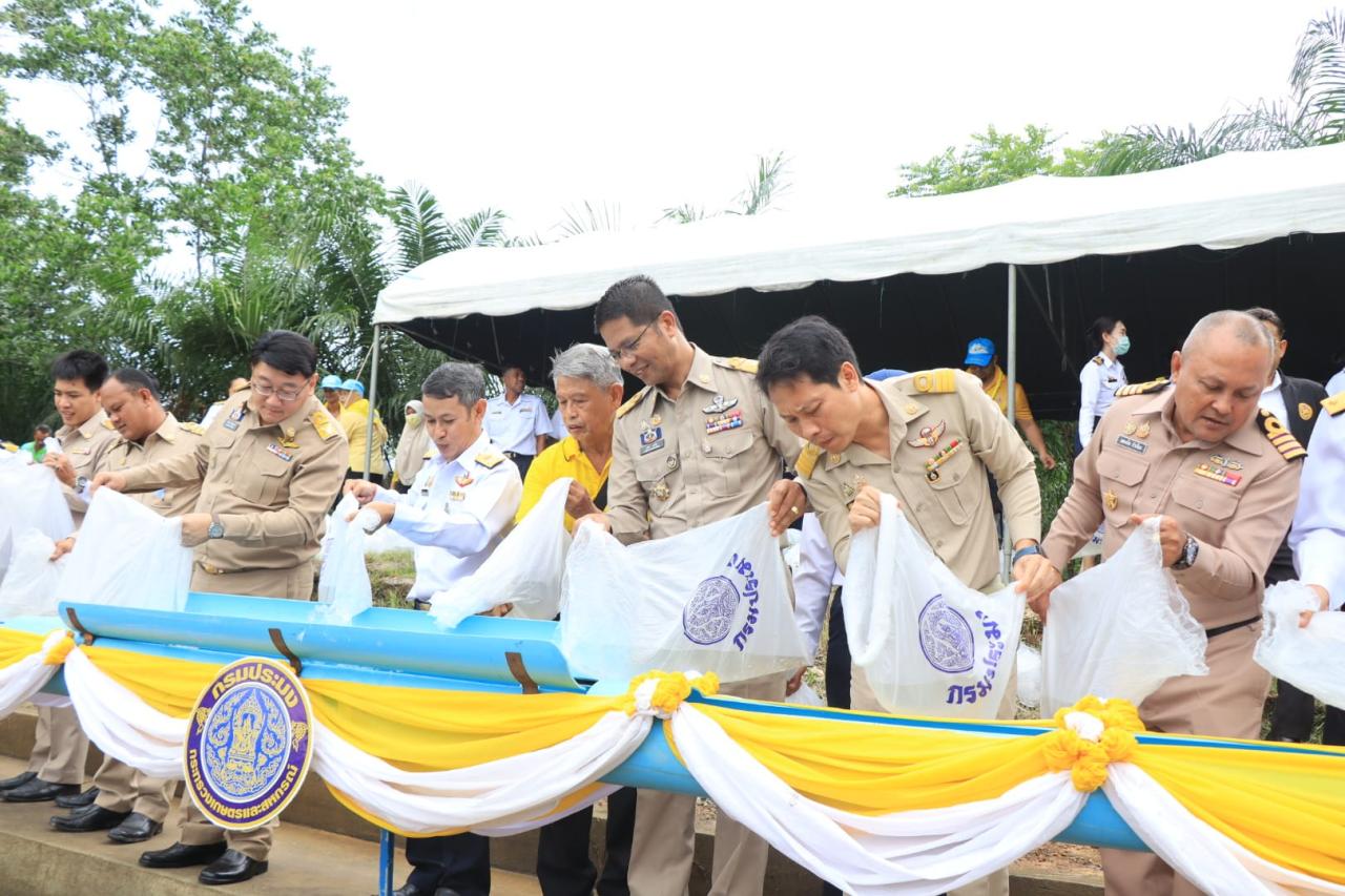 ภาพประกอบที่ 5