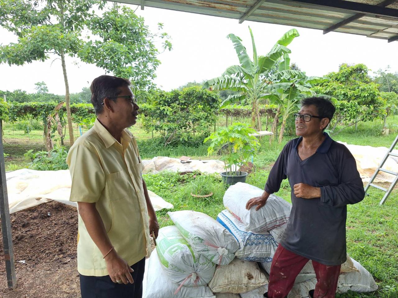 ภาพประกอบที่ 1