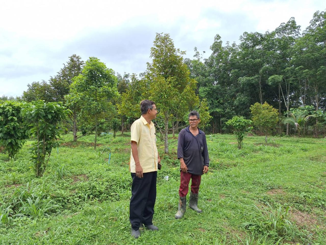 ภาพประกอบที่ 2