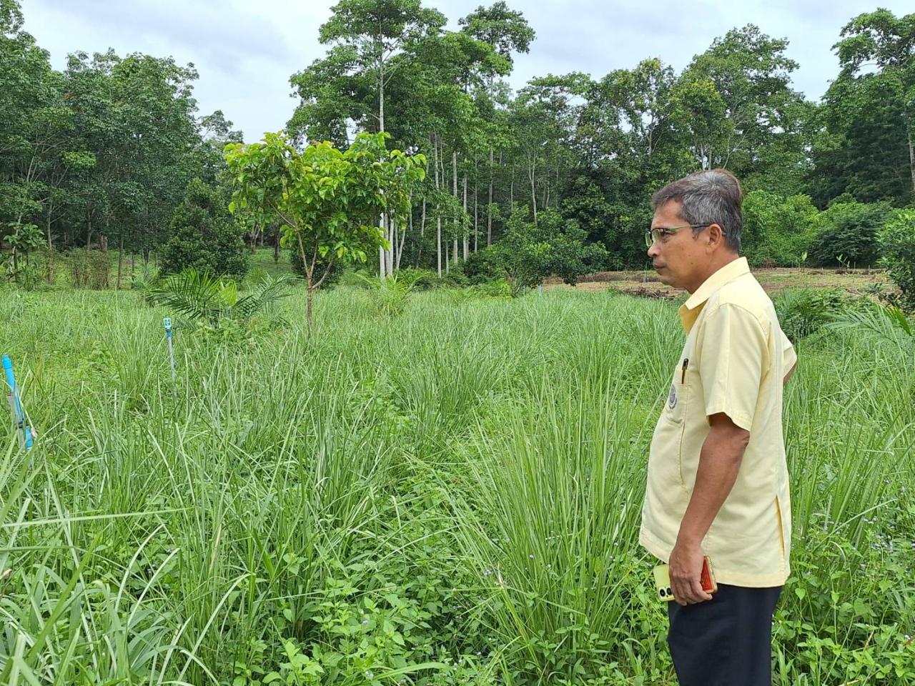 ภาพประกอบที่ 3