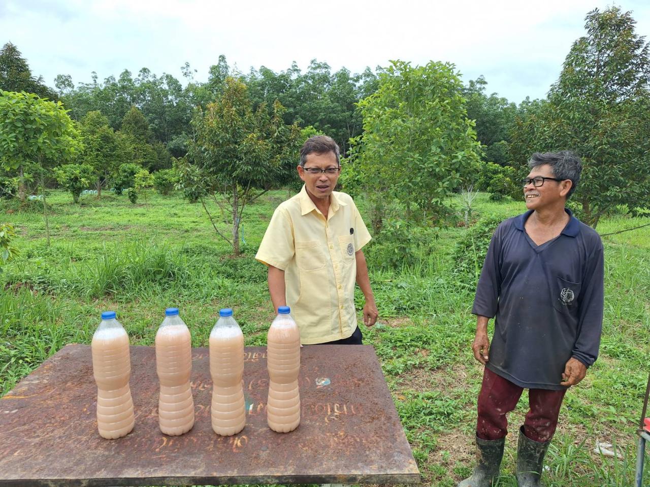 ภาพประกอบที่ 4