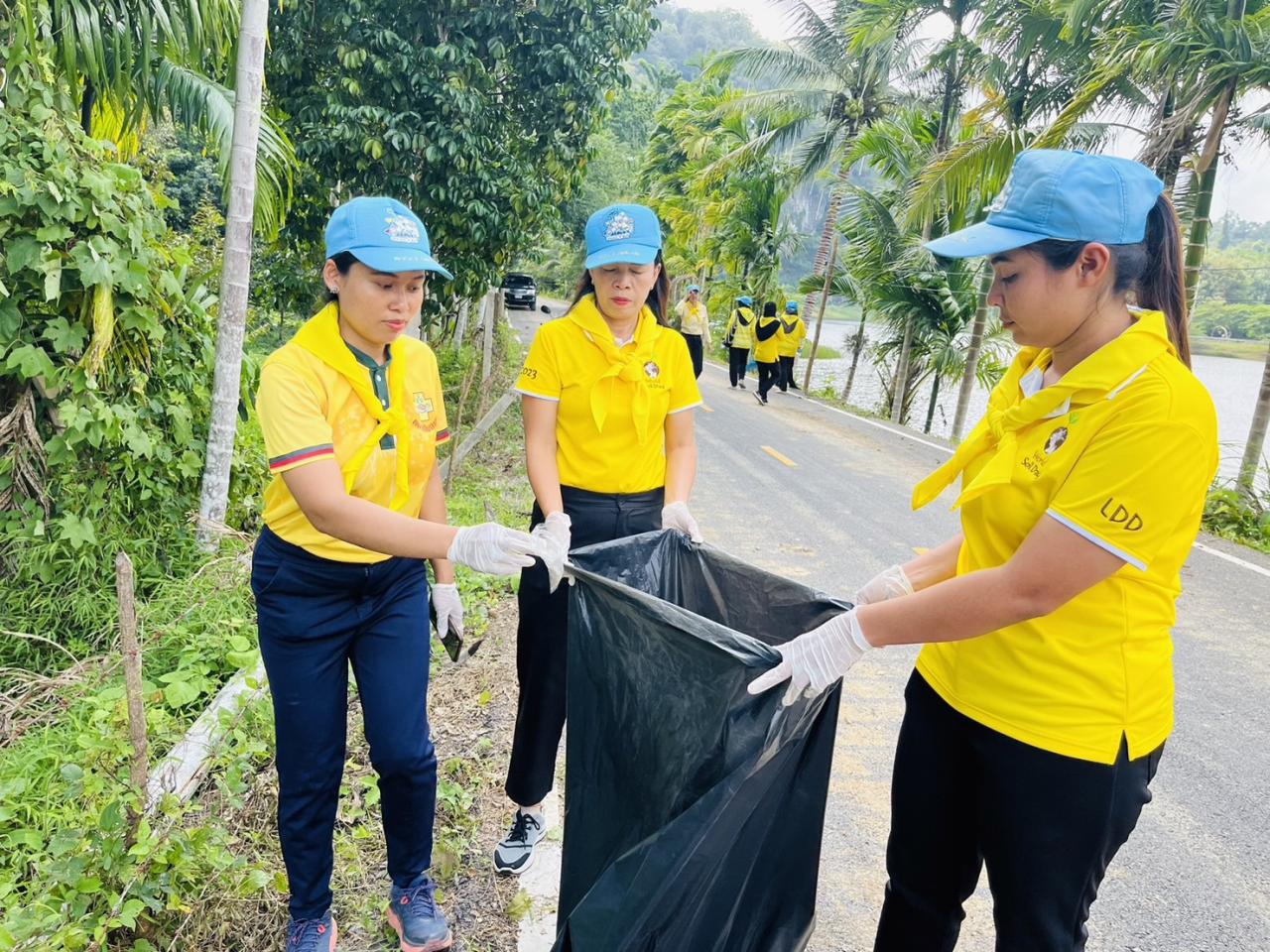 ภาพประกอบที่ 4