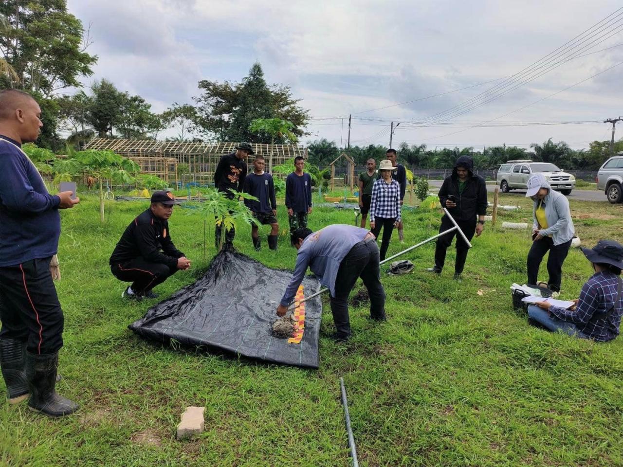 ภาพประกอบที่ 1
