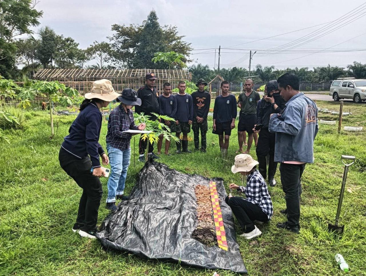 ภาพประกอบที่ 3