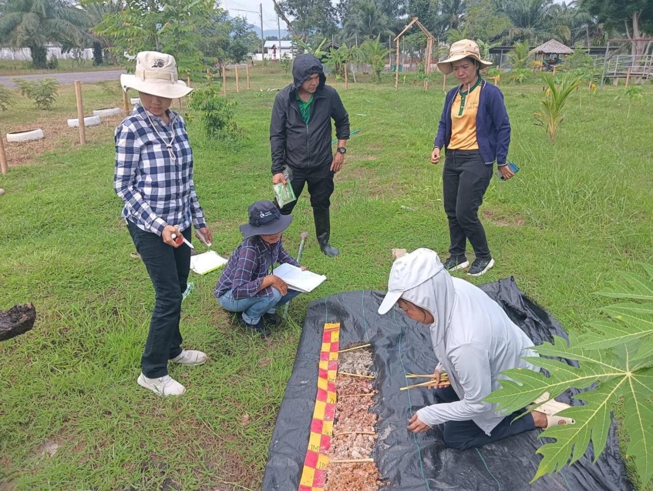 ภาพประกอบที่ 5