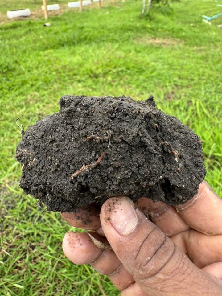 ภาพประกอบที่ 11