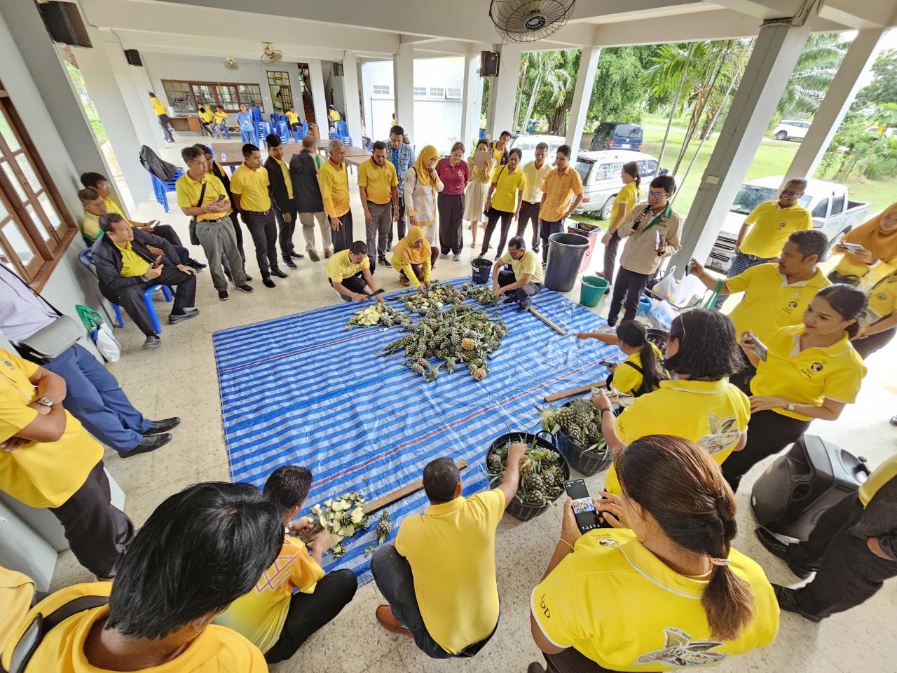 ภาพประกอบที่ 12