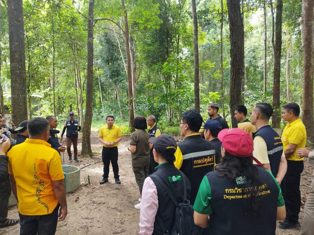 ภาพประกอบที่ 4