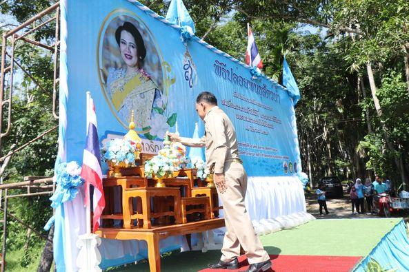 ภาพประกอบที่ 2