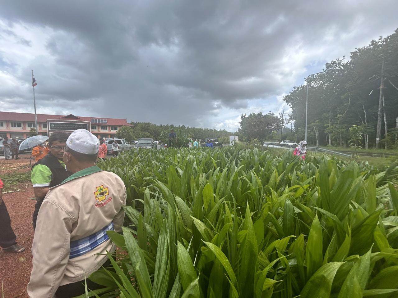 ภาพประกอบที่ 4