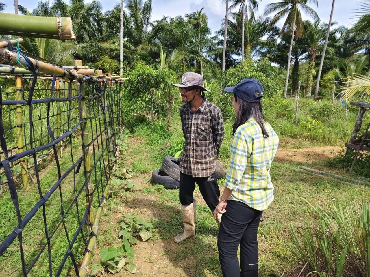 ภาพประกอบที่ 0