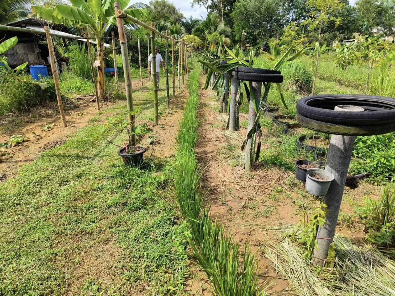 ภาพประกอบที่ 3