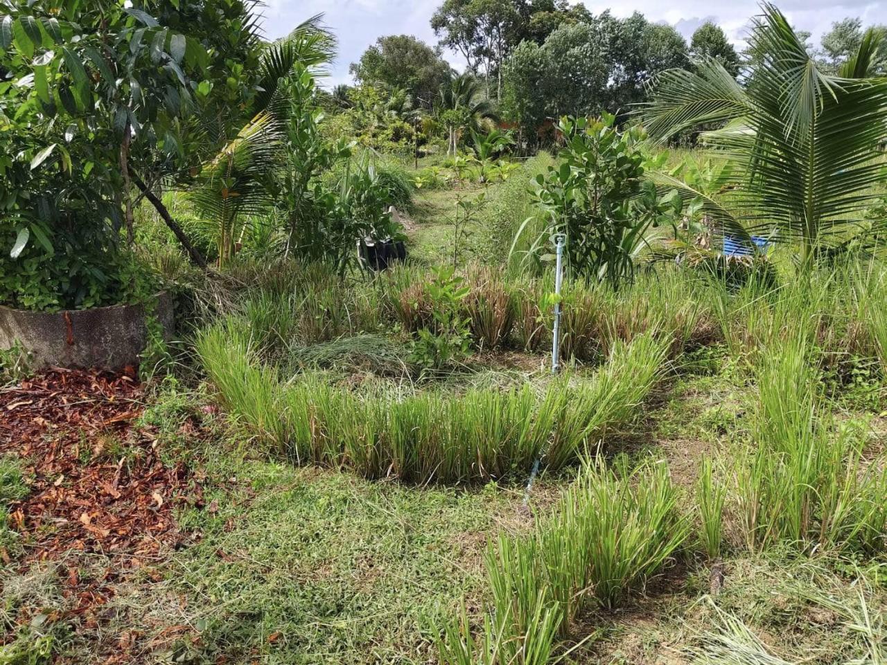 ภาพประกอบที่ 6