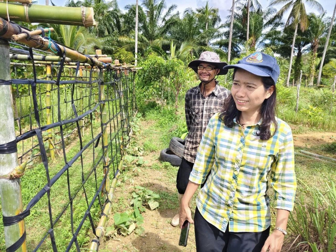 ภาพประกอบที่ 7