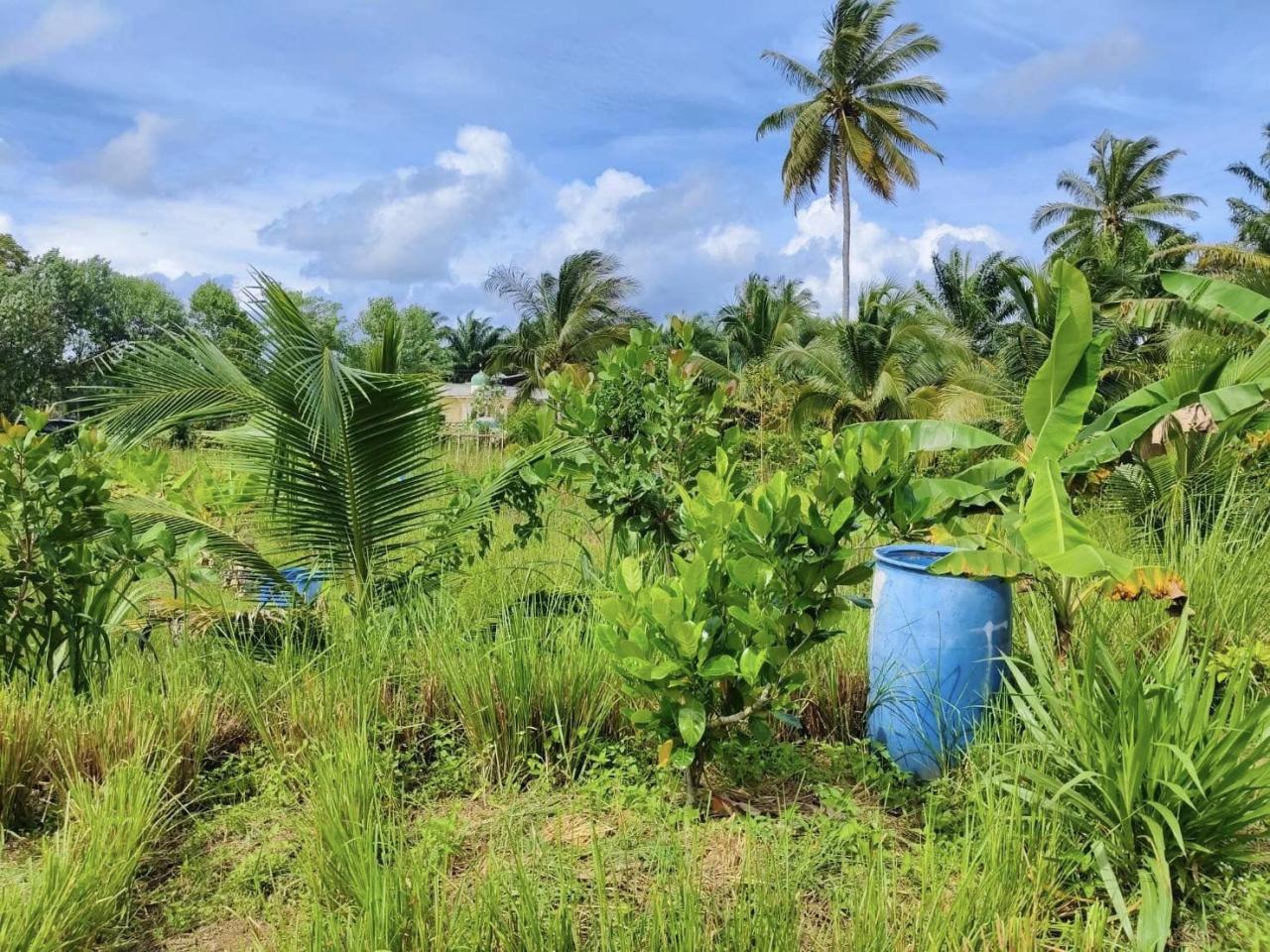 ภาพประกอบที่ 8