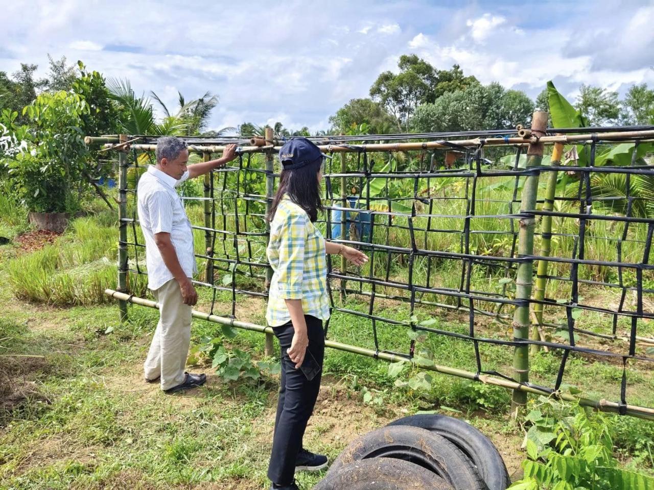 ภาพประกอบที่ 11