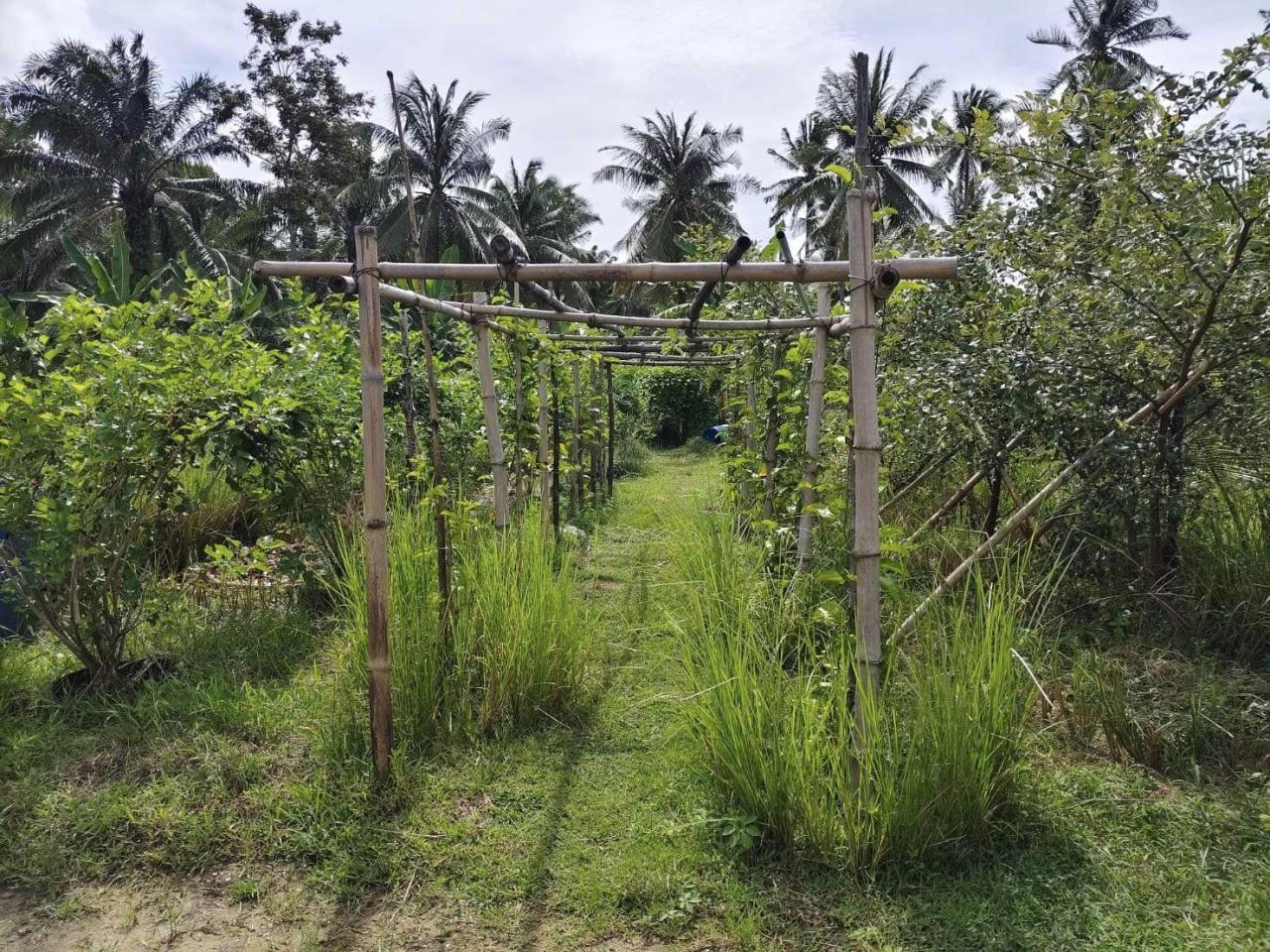 ภาพประกอบที่ 12