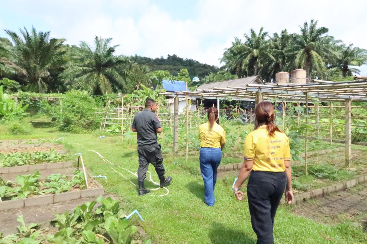 ภาพประกอบที่ 2