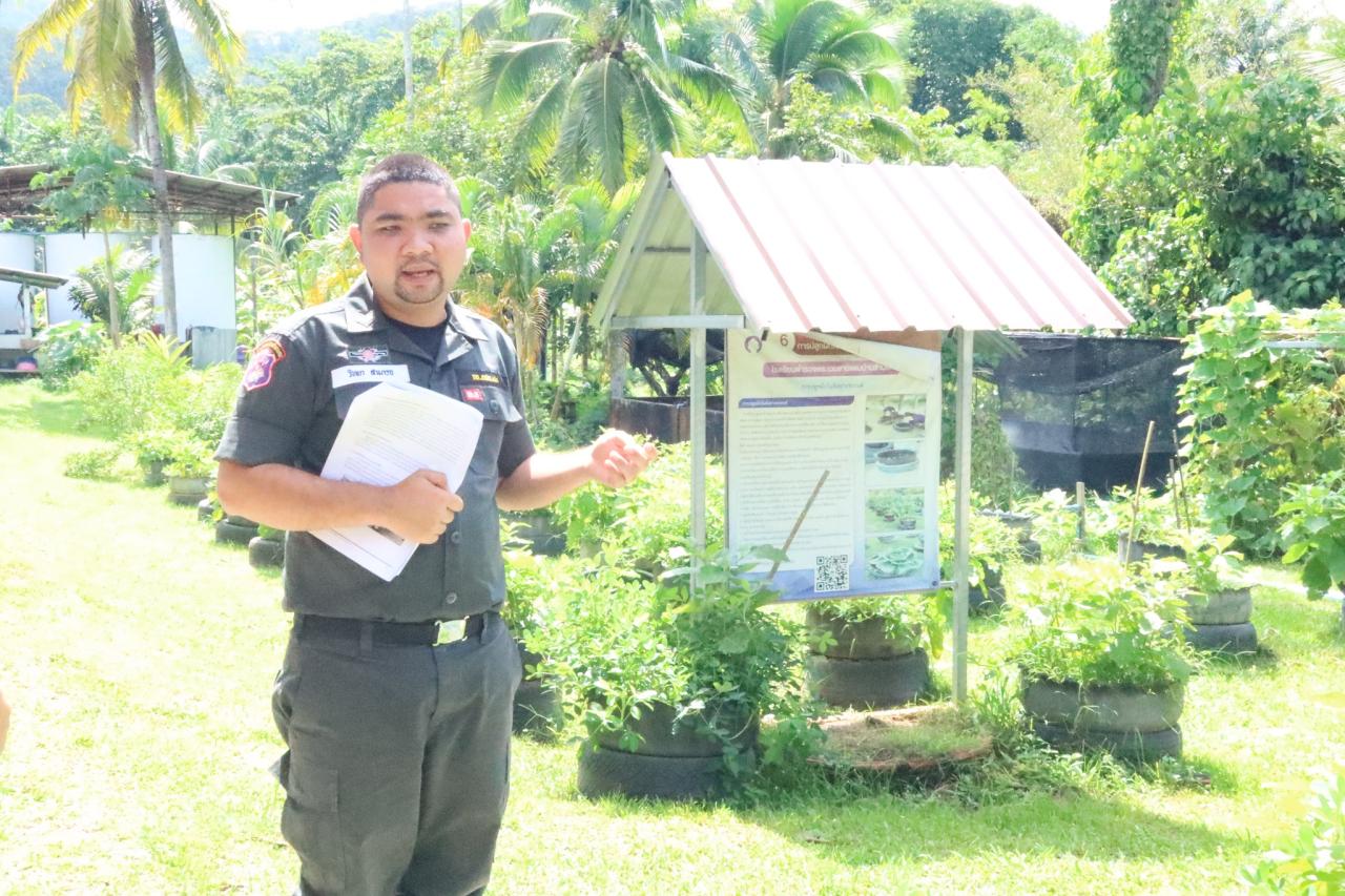 ภาพประกอบที่ 3