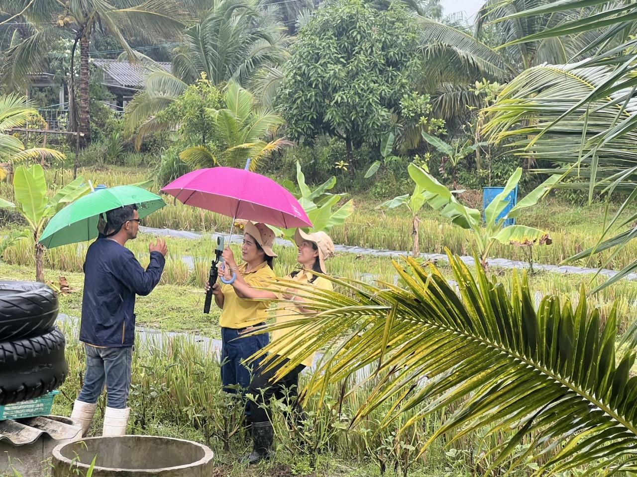 ภาพประกอบที่ 11