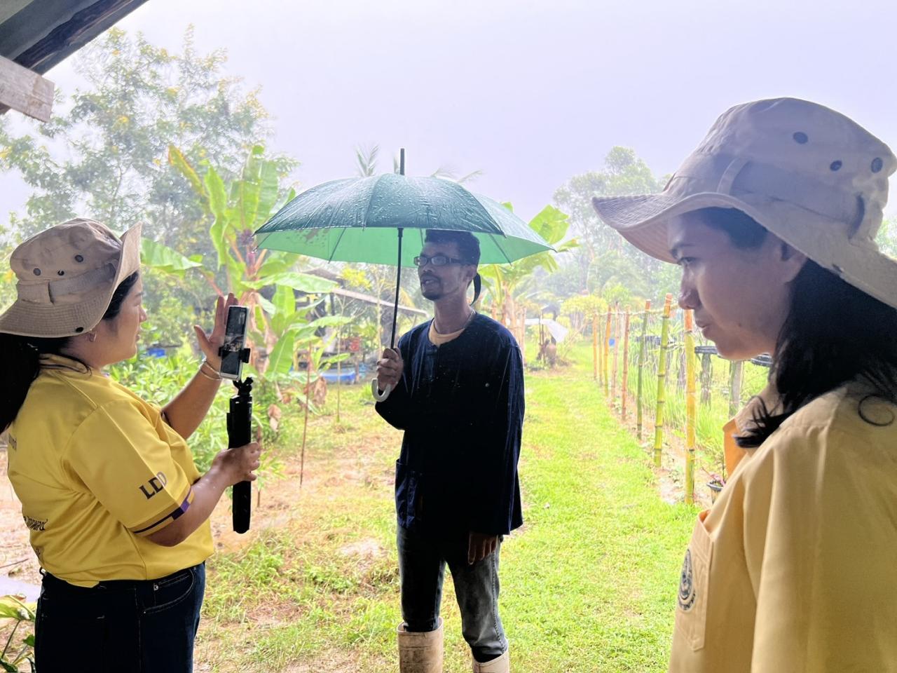ภาพประกอบที่ 15