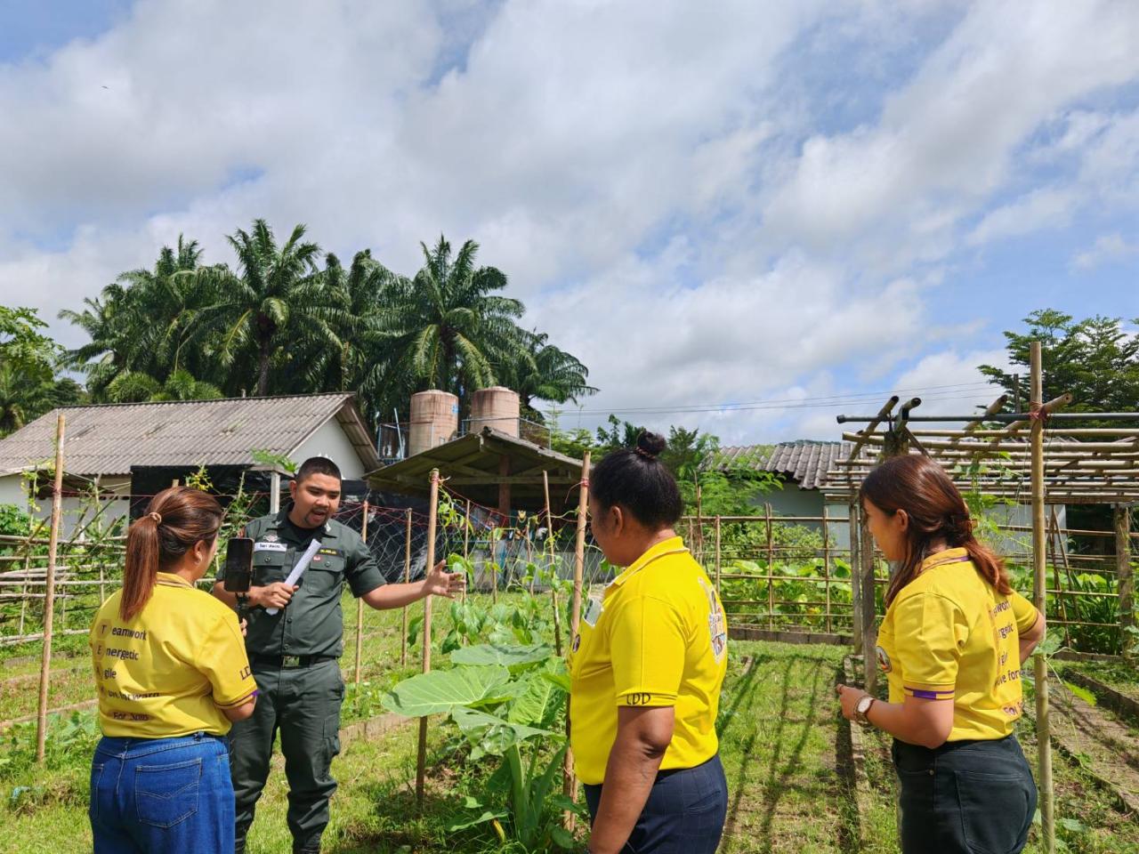 ภาพประกอบที่ 16