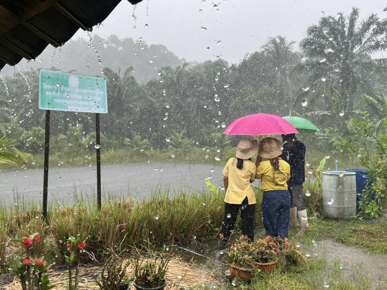 ภาพประกอบที่ 18