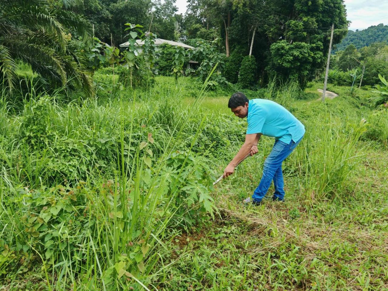 ภาพประกอบที่ 0
