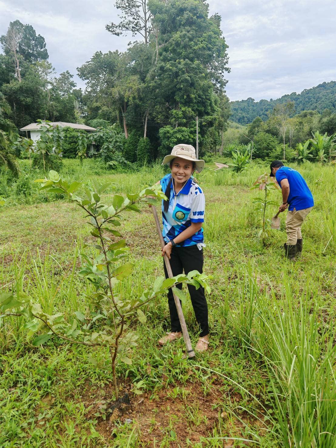 ภาพประกอบที่ 1